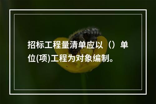 招标工程量清单应以（）单位(项)工程为对象编制。