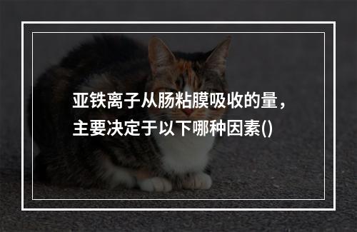 亚铁离子从肠粘膜吸收的量，主要决定于以下哪种因素()