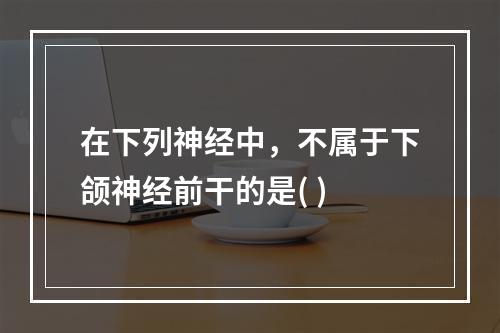 在下列神经中，不属于下颌神经前干的是( )