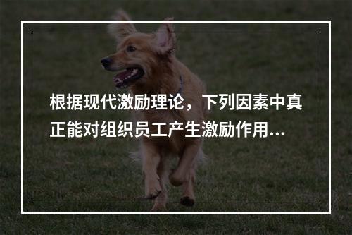 根据现代激励理论，下列因素中真正能对组织员工产生激励作用的是