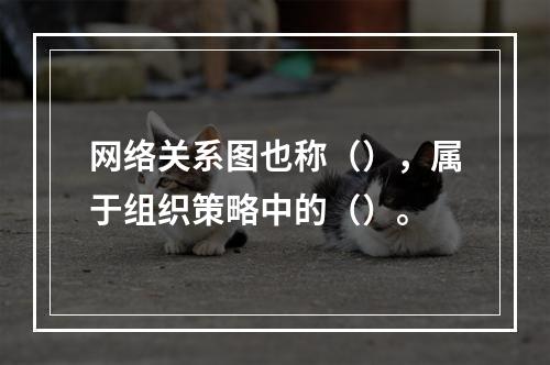 网络关系图也称（），属于组织策略中的（）。