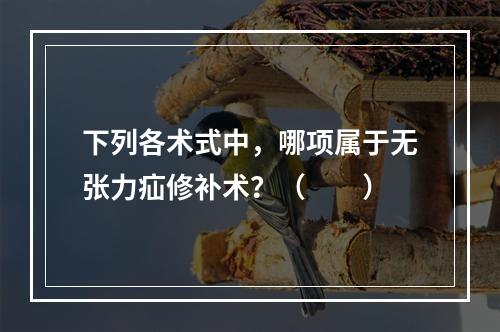 下列各术式中，哪项属于无张力疝修补术？（　　）