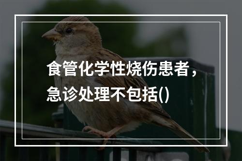 食管化学性烧伤患者，急诊处理不包括()