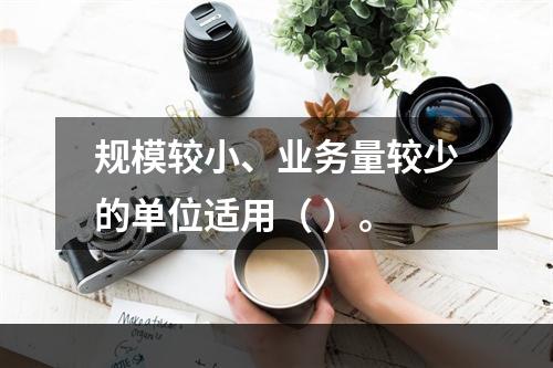 规模较小、业务量较少的单位适用（ ）。