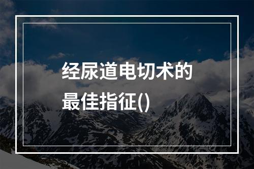 经尿道电切术的最佳指征()