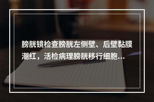 膀胱镜检查膀胱左侧壁、后壁黏膜潮红，活检病理膀胱移行细胞癌，