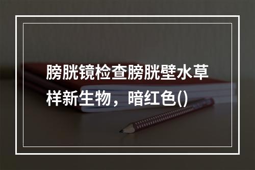 膀胱镜检查膀胱壁水草样新生物，暗红色()