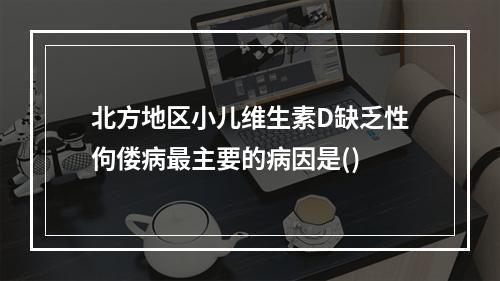 北方地区小儿维生素D缺乏性佝偻病最主要的病因是()