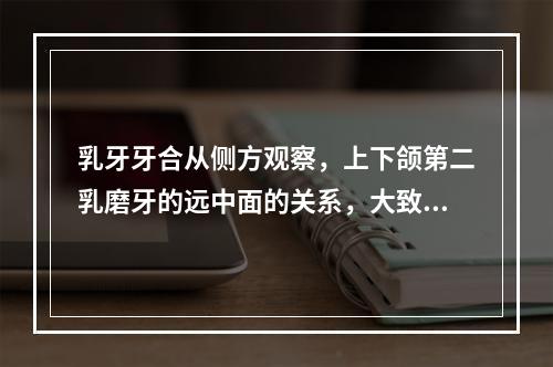 乳牙牙合从侧方观察，上下颌第二乳磨牙的远中面的关系，大致可分