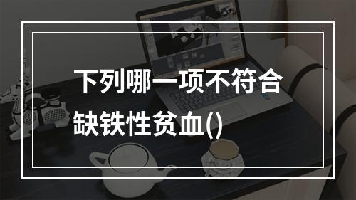 下列哪一项不符合缺铁性贫血()