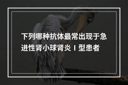 下列哪种抗体最常出现于急进性肾小球肾炎Ⅰ型患者