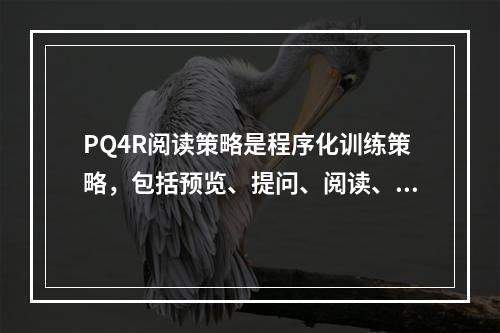 PQ4R阅读策略是程序化训练策略，包括预览、提问、阅读、反思