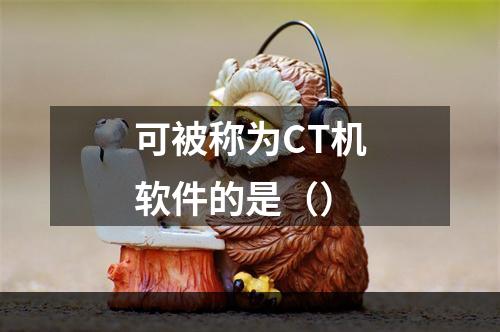 可被称为CT机软件的是（）