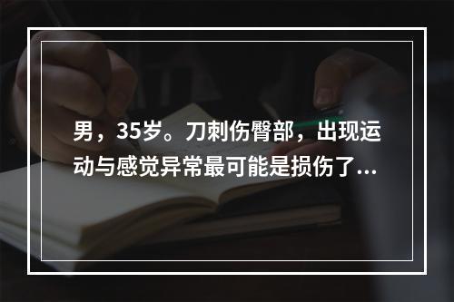 男，35岁。刀刺伤臀部，出现运动与感觉异常最可能是损伤了()