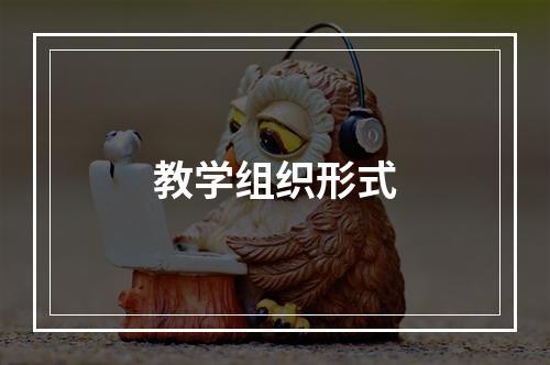 教学组织形式