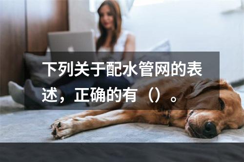 下列关于配水管网的表述，正确的有（）。