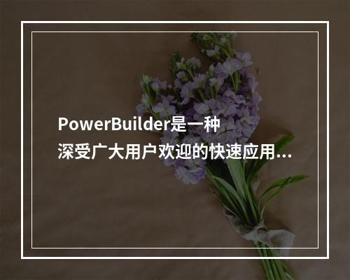 PowerBuilder是一种深受广大用户欢迎的快速应用开发