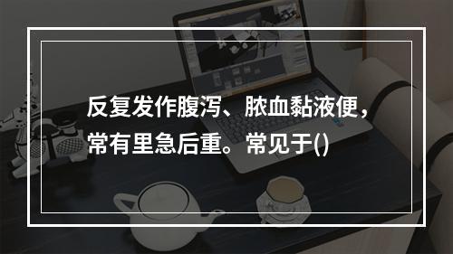 反复发作腹泻、脓血黏液便，常有里急后重。常见于()