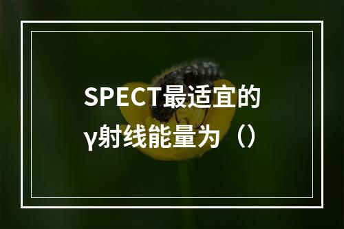 SPECT最适宜的γ射线能量为（）