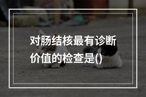 对肠结核最有诊断价值的检查是()