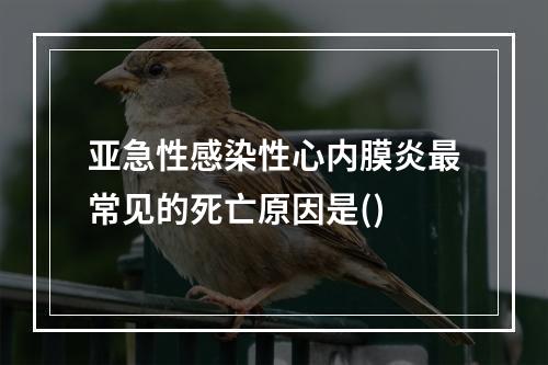 亚急性感染性心内膜炎最常见的死亡原因是()