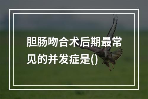 胆肠吻合术后期最常见的并发症是()