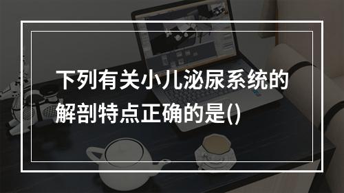 下列有关小儿泌尿系统的解剖特点正确的是()