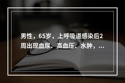 男性，65岁，上呼吸道感染后2周出现血尿、高血压、水肿，数日