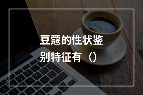 豆蔻的性状鉴别特征有（）