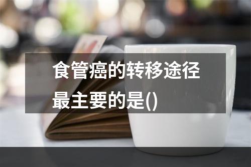 食管癌的转移途径最主要的是()