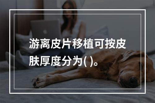 游离皮片移植可按皮肤厚度分为( )。