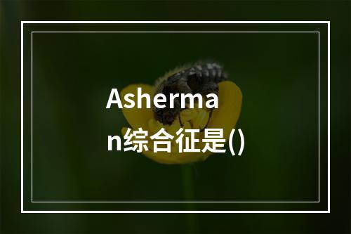 Asherman综合征是()