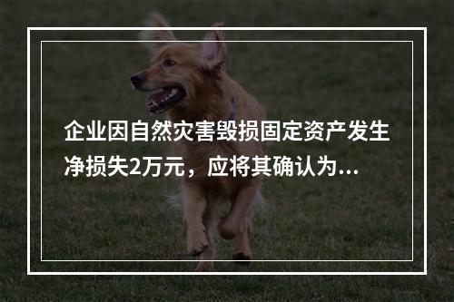 企业因自然灾害毁损固定资产发生净损失2万元，应将其确认为费用