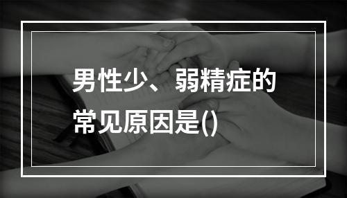 男性少、弱精症的常见原因是()