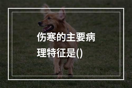 伤寒的主要病理特征是()