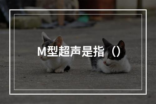 M型超声是指（）