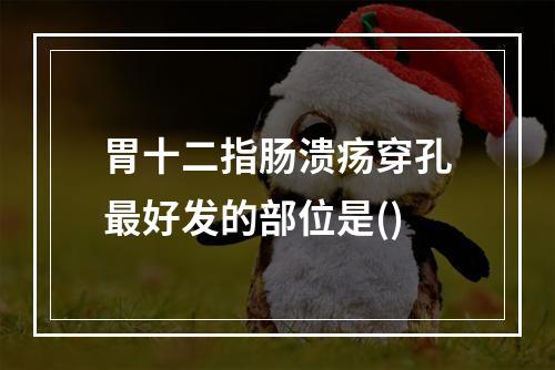 胃十二指肠溃疡穿孔最好发的部位是()