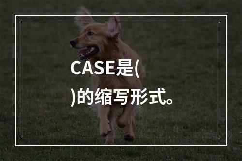 CASE是( )的缩写形式。