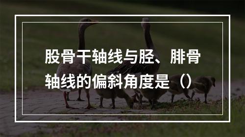 股骨干轴线与胫、腓骨轴线的偏斜角度是（）