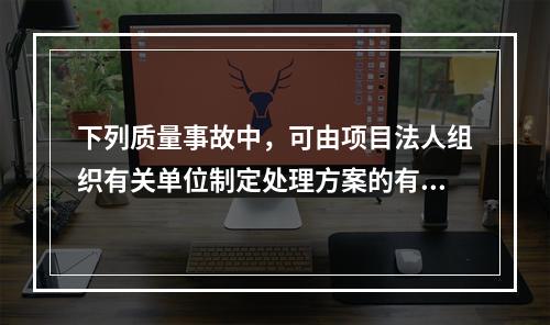 下列质量事故中，可由项目法人组织有关单位制定处理方案的有()