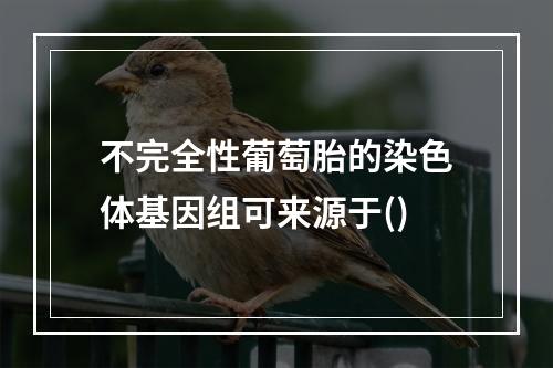 不完全性葡萄胎的染色体基因组可来源于()