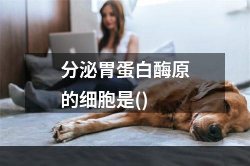 分泌胃蛋白酶原的细胞是()