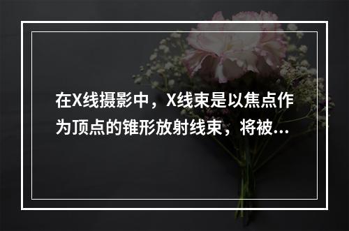 在X线摄影中，X线束是以焦点作为顶点的锥形放射线束，将被照体