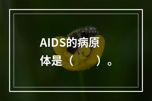 AIDS的病原体是（　　）。