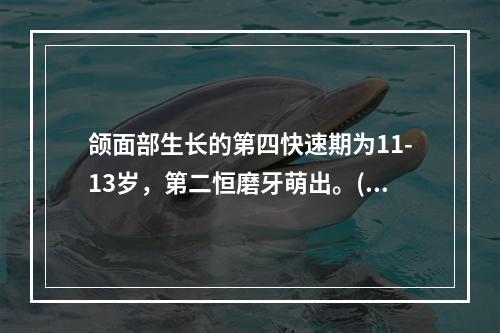 颌面部生长的第四快速期为11-13岁，第二恒磨牙萌出。()