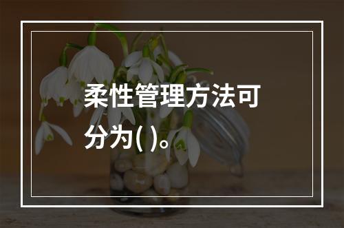 柔性管理方法可分为( )。