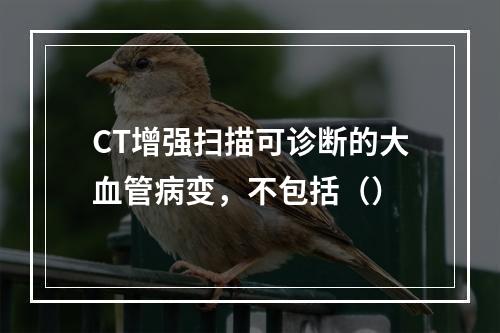 CT增强扫描可诊断的大血管病变，不包括（）