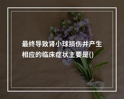 最终导致肾小球损伤并产生相应的临床症状主要是()