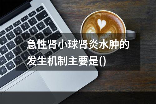 急性肾小球肾炎水肿的发生机制主要是()