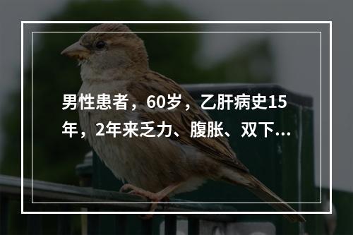 男性患者，60岁，乙肝病史15年，2年来乏力、腹胀、双下肢水